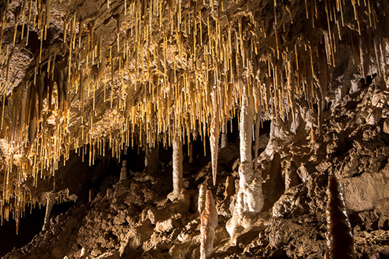 Csodabogyós cave